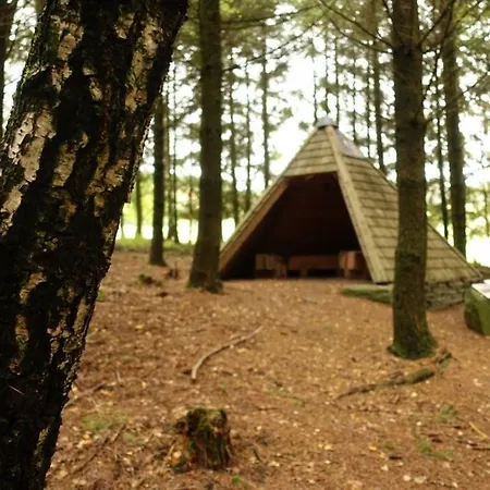 לינה וארוחת בוקר & Breakfast 3*