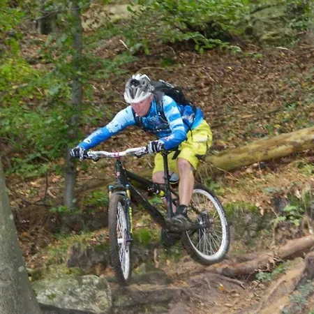 לינה וארוחת בוקר & Breakfast Niederpallen