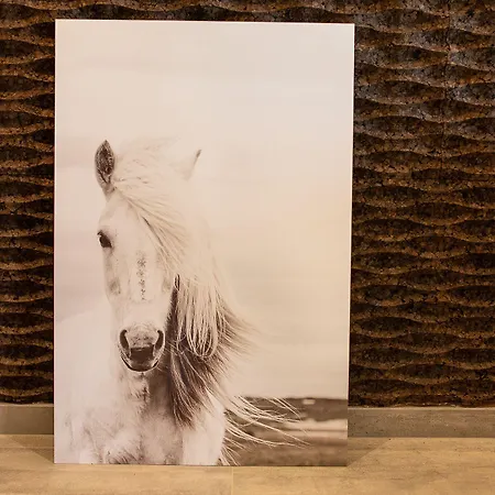 & Breakfast לינה וארוחת בוקר