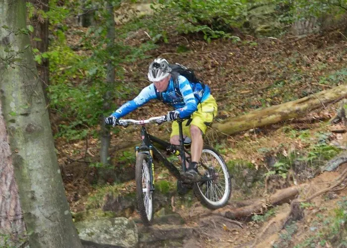 Nocleg ze śniadaniem & Breakfast Niederpallen