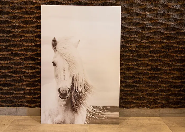 & Breakfast Frühstückspension